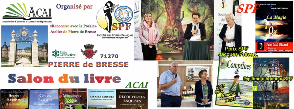 bandeau 8 salon livre..jpg